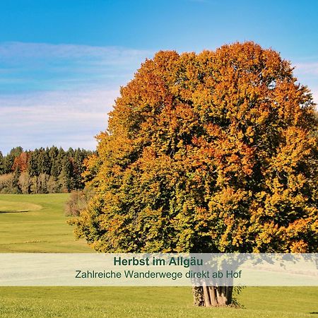Chalet - Ferienwohnungen - Biohof Stoeger - Panoramasuedbalkon - Grandiose Aussicht Auf See, Berge Und Schloss Neuschwanstein Rieden Εξωτερικό φωτογραφία