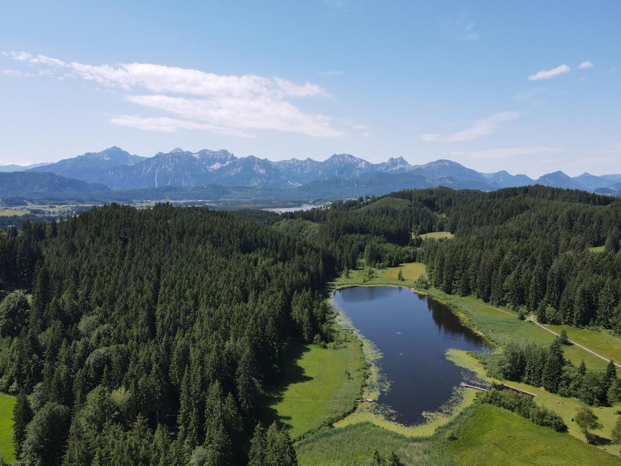 Chalet - Ferienwohnungen - Biohof Stoeger - Panoramasuedbalkon - Grandiose Aussicht Auf See, Berge Und Schloss Neuschwanstein Rieden Εξωτερικό φωτογραφία