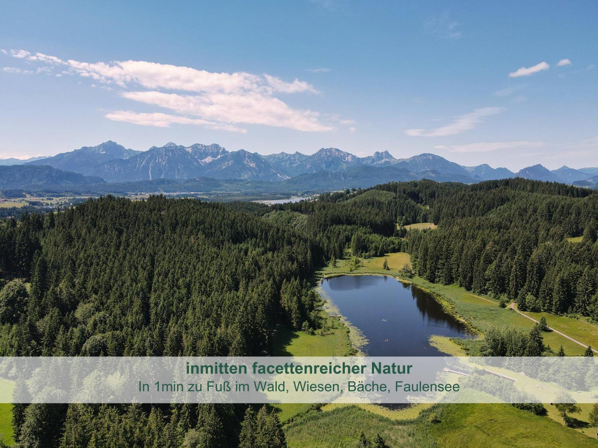 Chalet - Ferienwohnungen - Biohof Stoeger - Panoramasuedbalkon - Grandiose Aussicht Auf See, Berge Und Schloss Neuschwanstein Rieden Εξωτερικό φωτογραφία