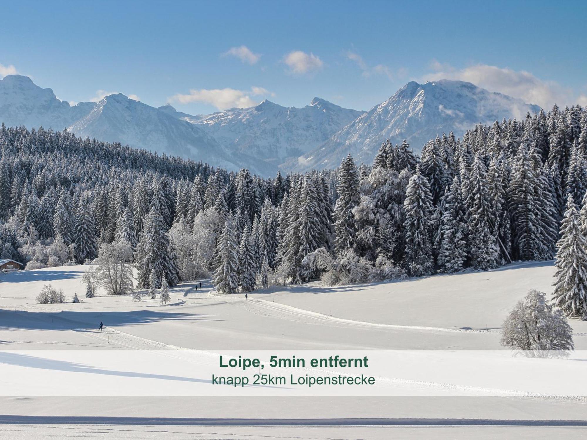 Chalet - Ferienwohnungen - Biohof Stoeger - Panoramasuedbalkon - Grandiose Aussicht Auf See, Berge Und Schloss Neuschwanstein Rieden Εξωτερικό φωτογραφία