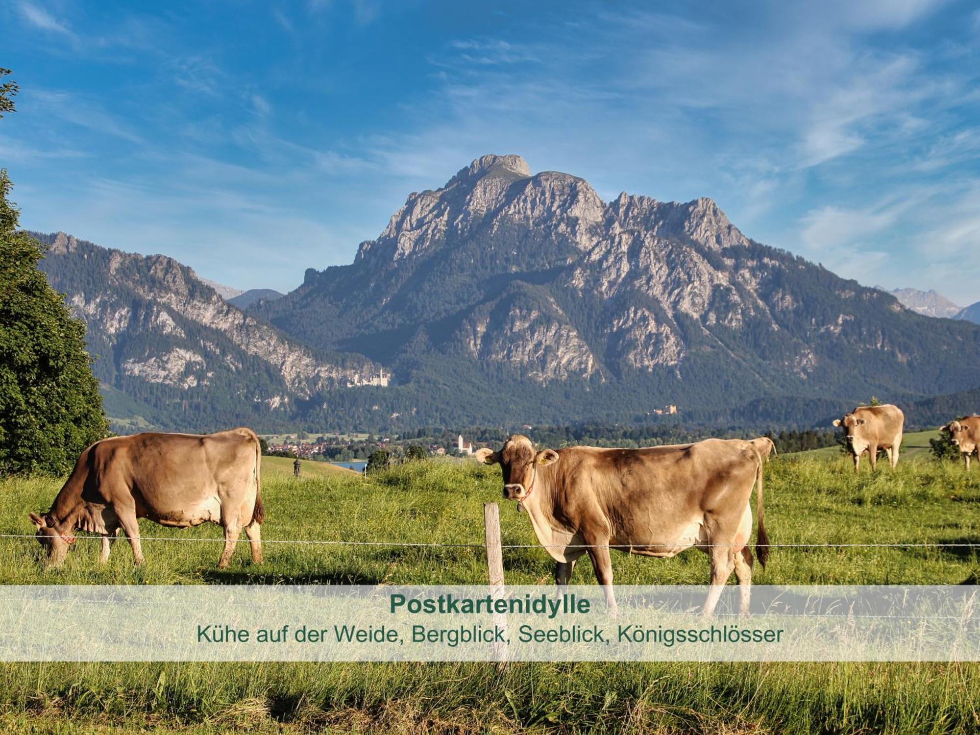 Chalet - Ferienwohnungen - Biohof Stoeger - Panoramasuedbalkon - Grandiose Aussicht Auf See, Berge Und Schloss Neuschwanstein Rieden Εξωτερικό φωτογραφία