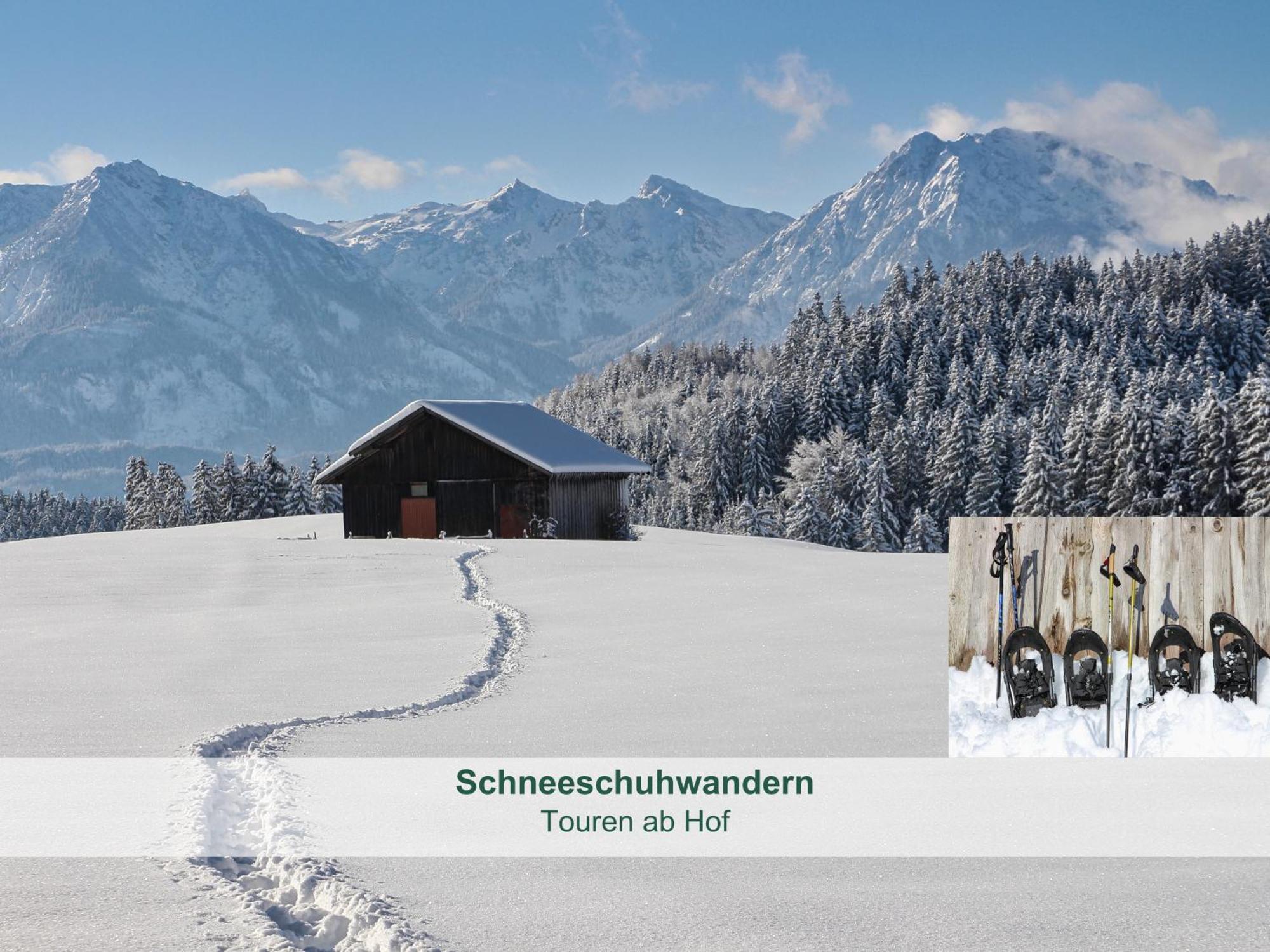 Chalet - Ferienwohnungen - Biohof Stoeger - Panoramasuedbalkon - Grandiose Aussicht Auf See, Berge Und Schloss Neuschwanstein Rieden Εξωτερικό φωτογραφία