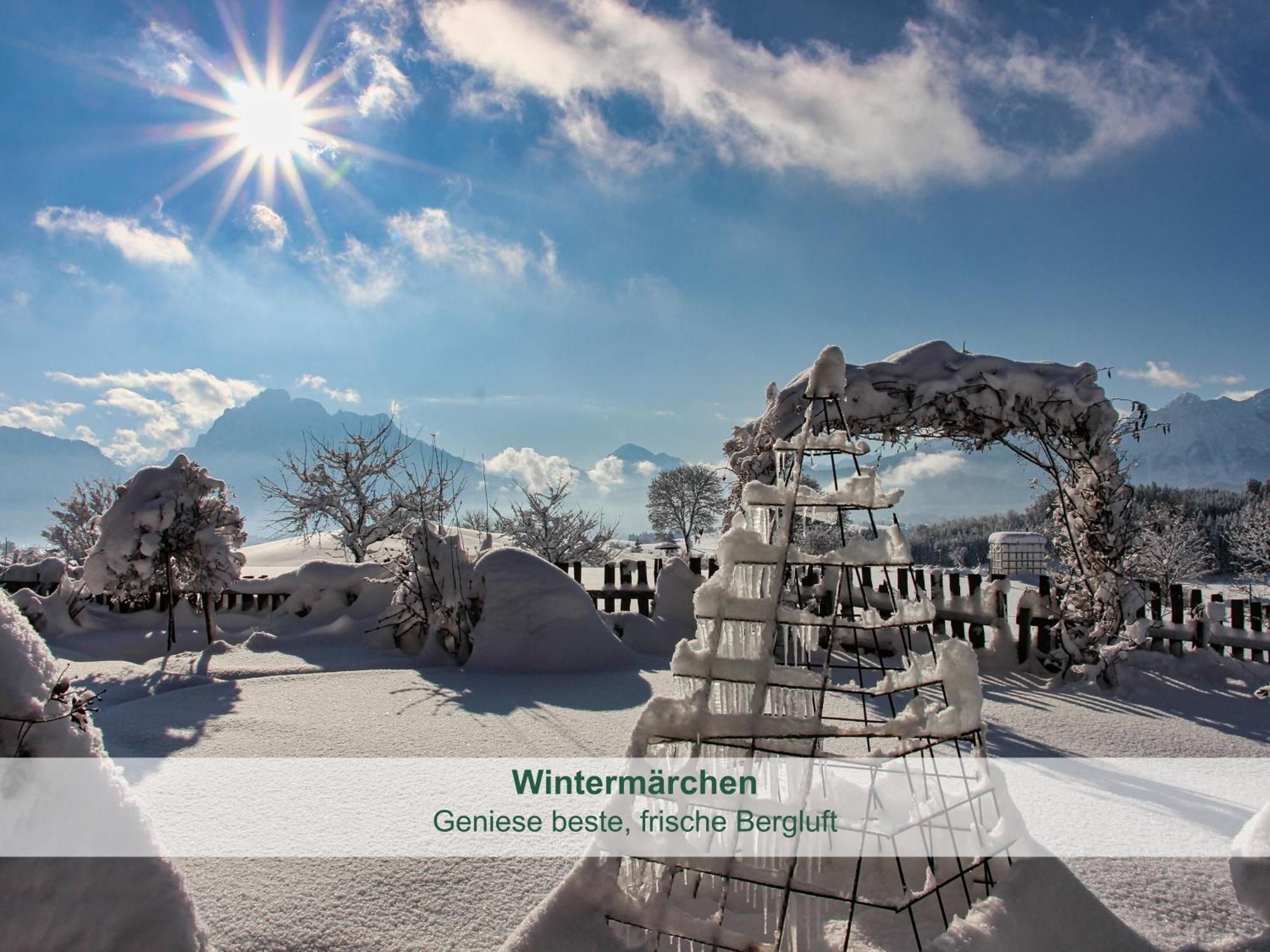 Chalet - Ferienwohnungen - Biohof Stoeger - Panoramasuedbalkon - Grandiose Aussicht Auf See, Berge Und Schloss Neuschwanstein Rieden Εξωτερικό φωτογραφία