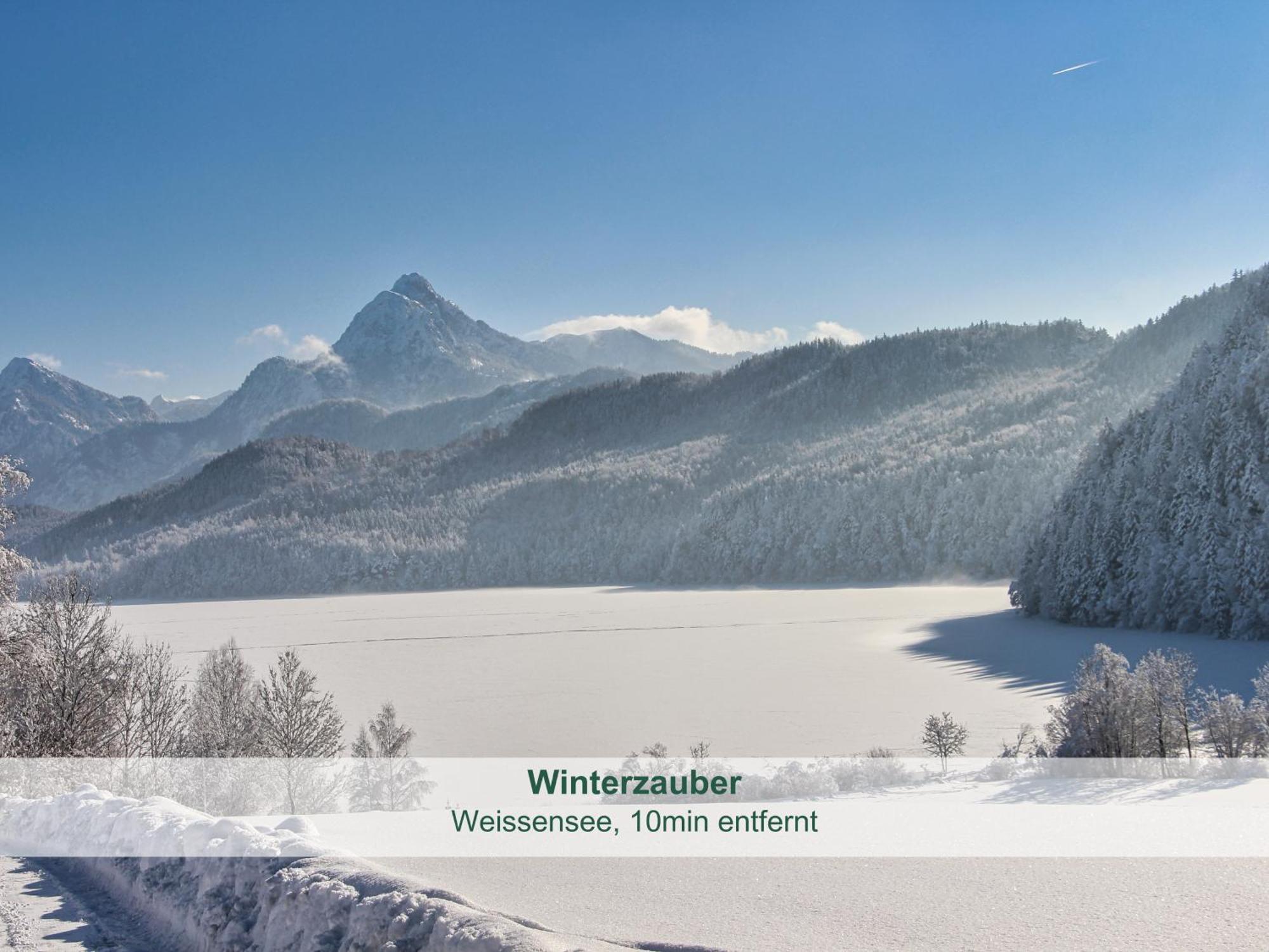 Chalet - Ferienwohnungen - Biohof Stoeger - Panoramasuedbalkon - Grandiose Aussicht Auf See, Berge Und Schloss Neuschwanstein Rieden Εξωτερικό φωτογραφία