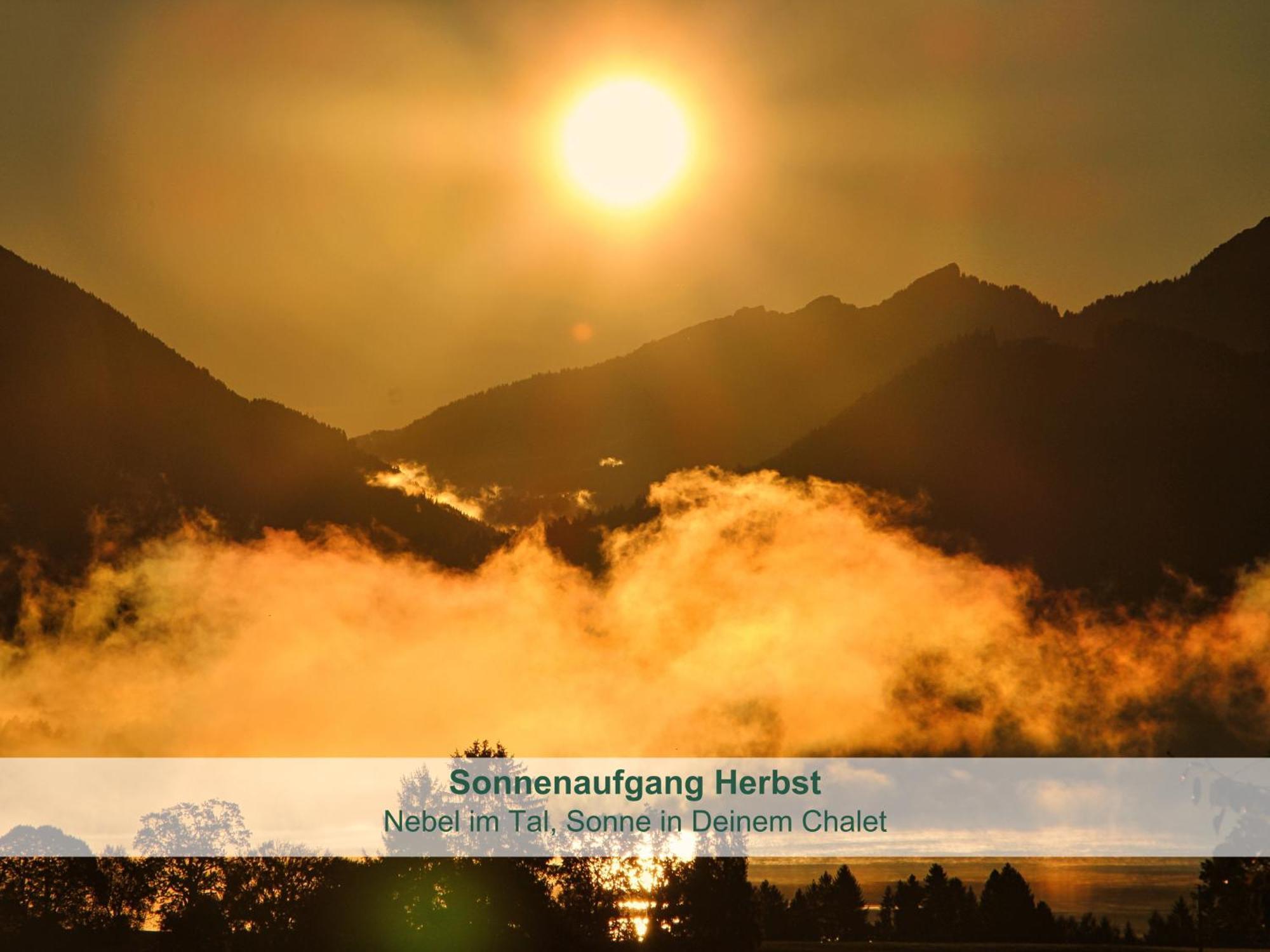 Chalet - Ferienwohnungen - Biohof Stoeger - Panoramasuedbalkon - Grandiose Aussicht Auf See, Berge Und Schloss Neuschwanstein Rieden Εξωτερικό φωτογραφία